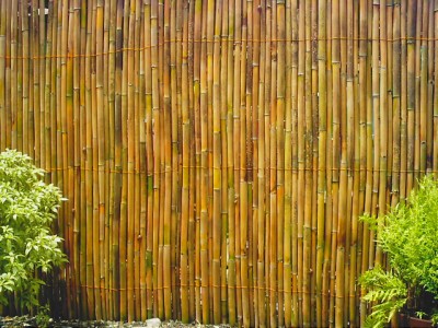 Bamboo Sticks Buho Philippines Manila